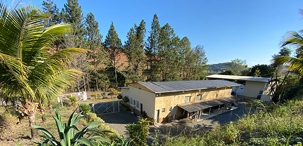 Layne Polpas de Frutas - Fábrica